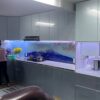 tu-bep-son-tinh-dien09.jpg Kính Ốp Bếp